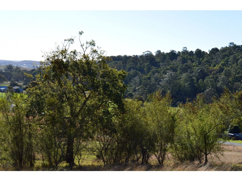 Proposed l Spring Creek Road, Killarney QLD 4373
