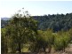Proposed L Spring Creek Road, Killarney QLD 4373