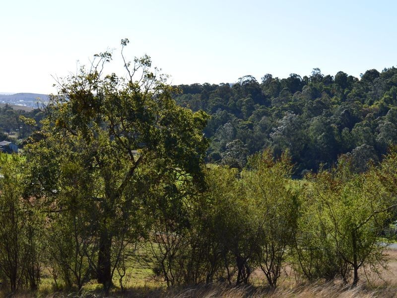Proposed L Spring Creek Road, Killarney QLD 4373