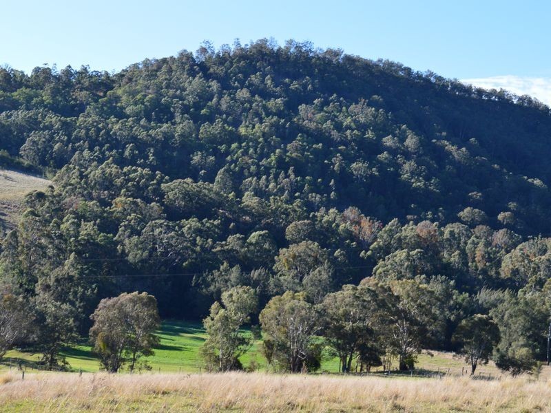 Proposed L Spring Creek Road, Killarney QLD 4373