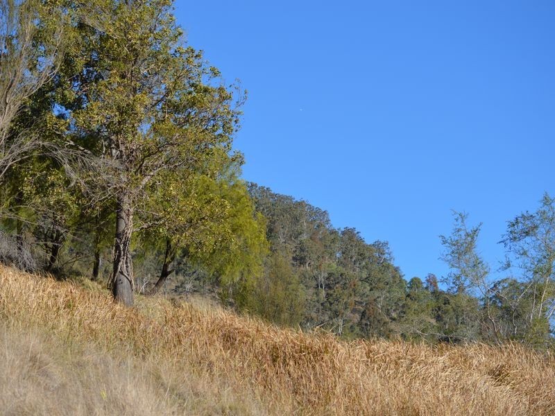 Proposed L Spring Creek Road, Killarney QLD 4373
