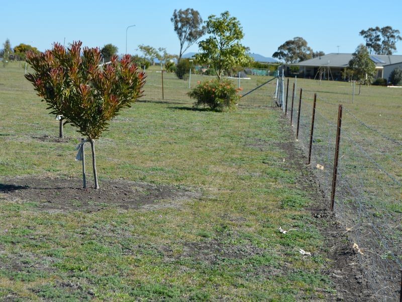 8 Amarina Avenue, Warwick QLD 4370