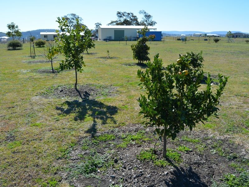 8 Amarina Avenue, Warwick QLD 4370