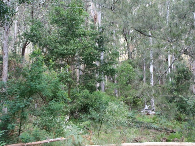 Lot 60 Bakers Road, Clintonvale QLD 4370