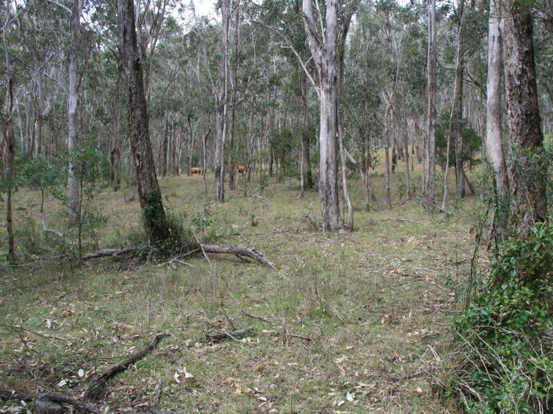 Lot 60 Bakers Road, Clintonvale QLD 4370