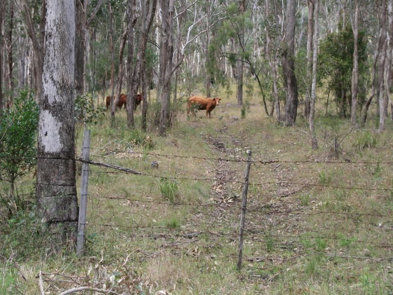 Lot 60 Bakers Road, Clintonvale QLD 4370