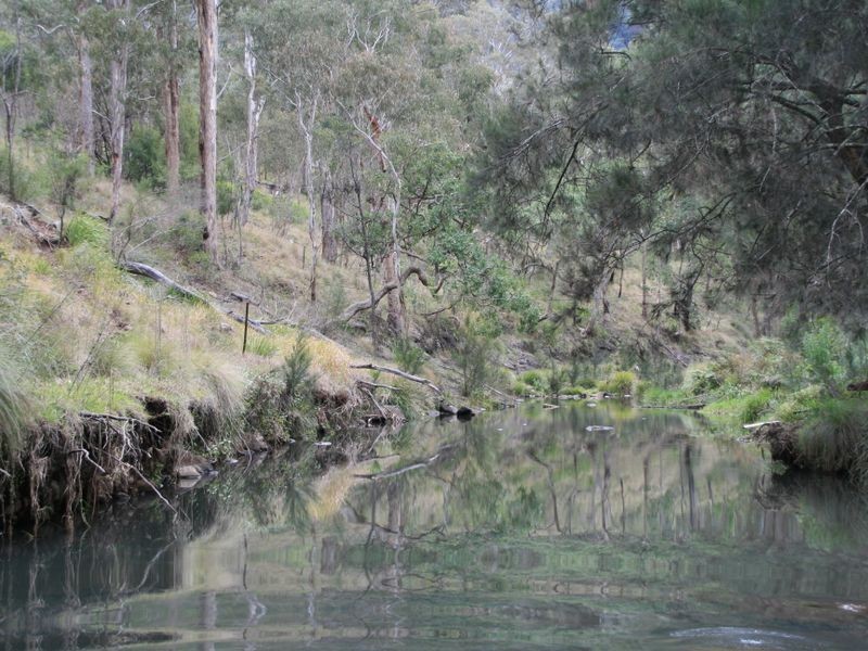 Lot 60 Bakers Road, Clintonvale QLD 4370