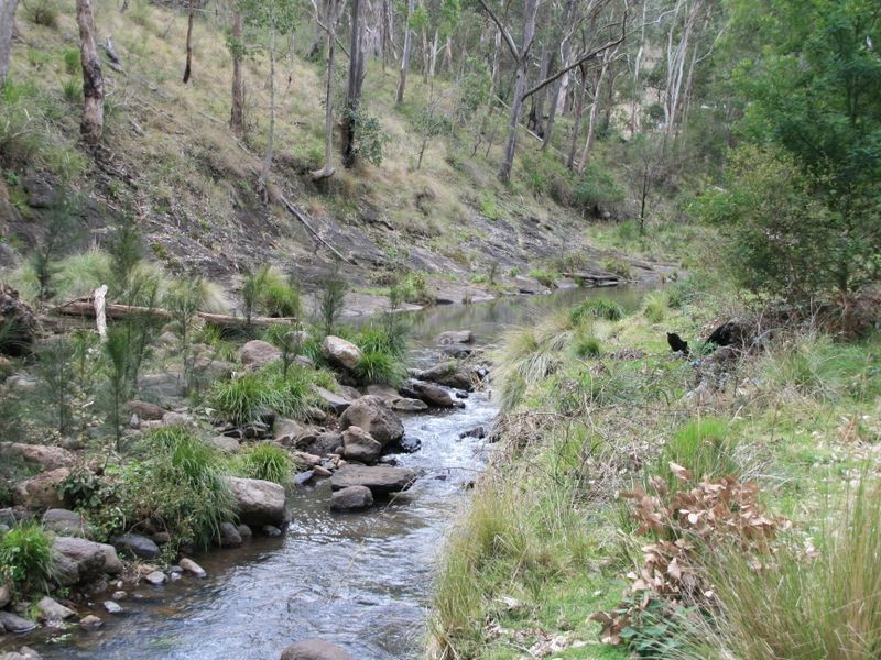 Lot 60 Bakers Road, Clintonvale QLD 4370