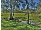 2369 Leyburn Cunningham Road, Pratten QLD 4370