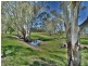 2369 Leyburn Cunningham Road, Pratten QLD 4370