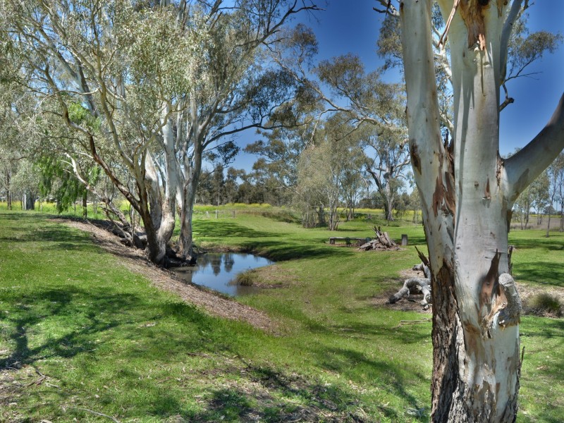 2369 Leyburn Cunningham Road, Pratten QLD 4370