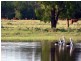 L 1 & 2 Tomlinsons Road, Inglewood QLD 4387