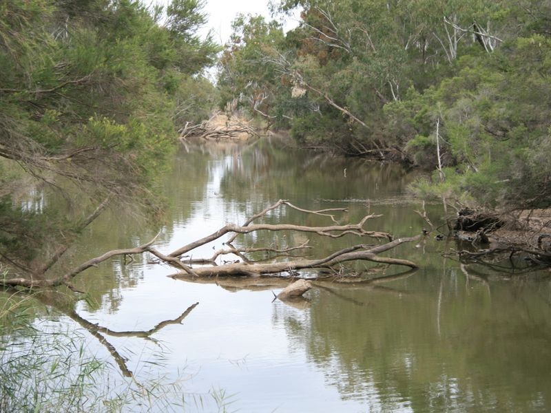 L 1 & 2 Tomlinsons Road, Inglewood QLD 4387