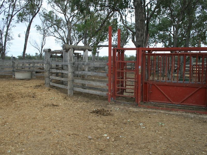 L 1 & 2 Tomlinsons Road, Inglewood QLD 4387