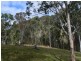 Lot 165 Condamine River Road, Killarney QLD 4373