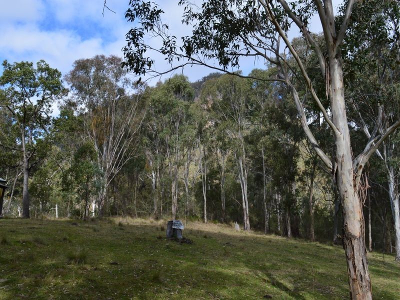 Lot 165 Condamine River Road, Killarney QLD 4373