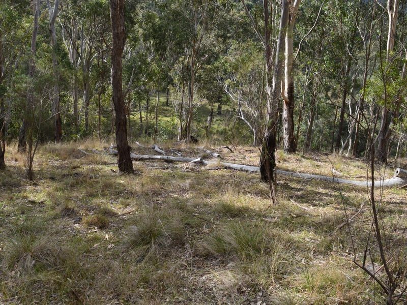 Lot 165 Condamine River Road, Killarney QLD 4373