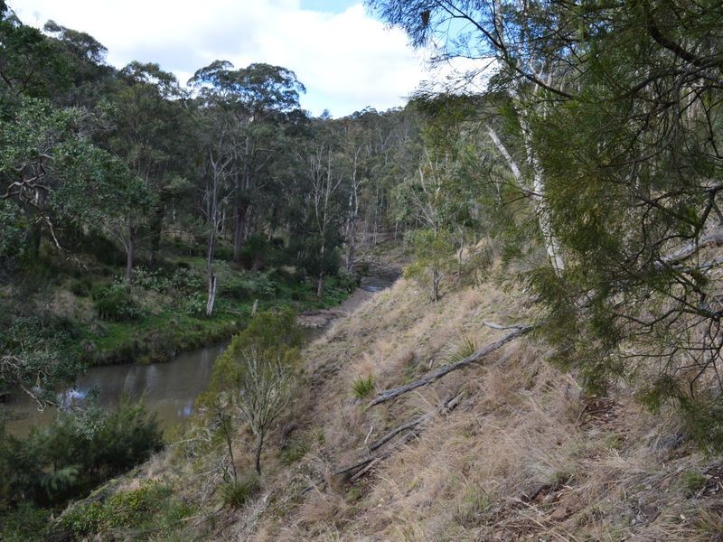 Lot 165 Condamine River Road, Killarney QLD 4373