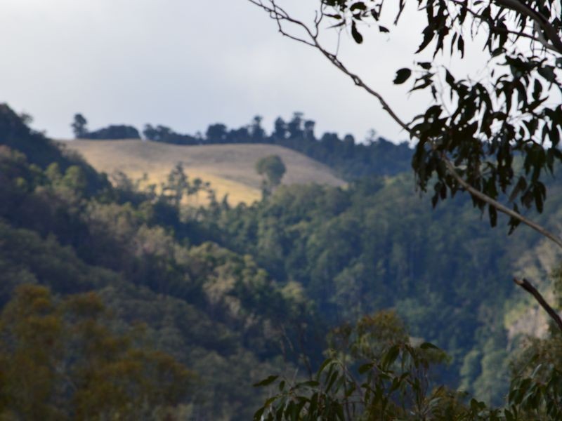 Lot 165 Condamine River Road, Killarney QLD 4373