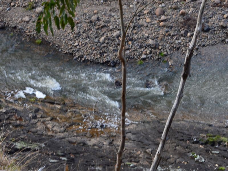 Lot 165 Condamine River Road, Killarney QLD 4373