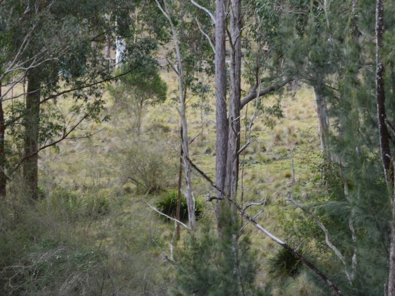 Lot 165 Condamine River Road, Killarney QLD 4373