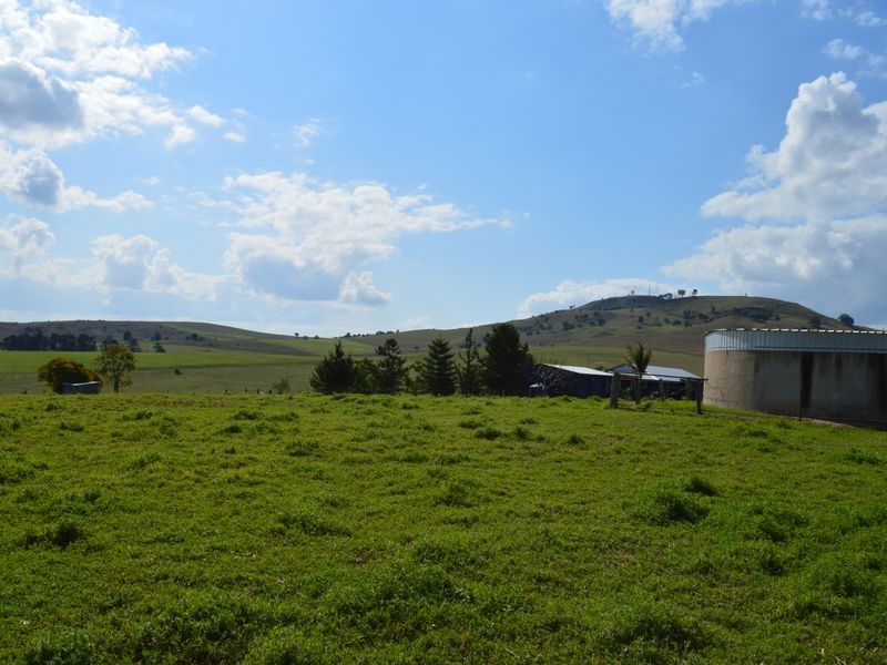 15 Sycamore Street, Killarney QLD 4373