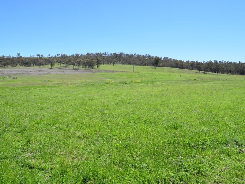 157 Lonsdale Road, Warwick QLD 4370