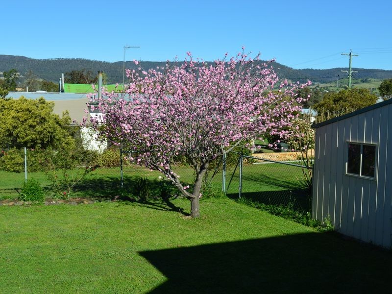 15 Arbutus Street, Killarney QLD 4373