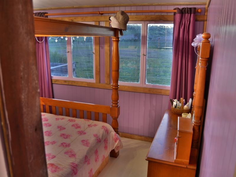 461 Jack Smith Gully Road, Freestone QLD 4370