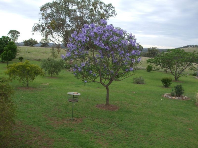 L4 Uandi Inglewood, Warwick QLD 4370