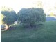 52 Pine Street,, Killarney QLD 4373