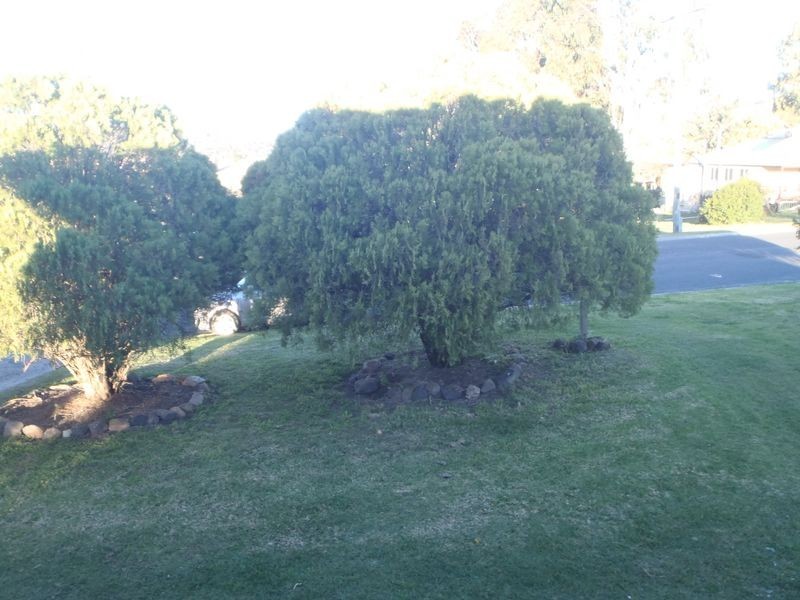 52 Pine Street,, Killarney QLD 4373