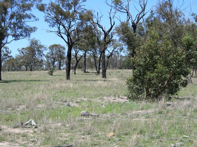 L1 Warahgai Road, Karara QLD 4352