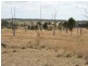 983 Crystal Mountain Road, Dalveen QLD 4374