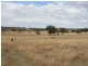 983 Crystal Mountain Road, Dalveen QLD 4374