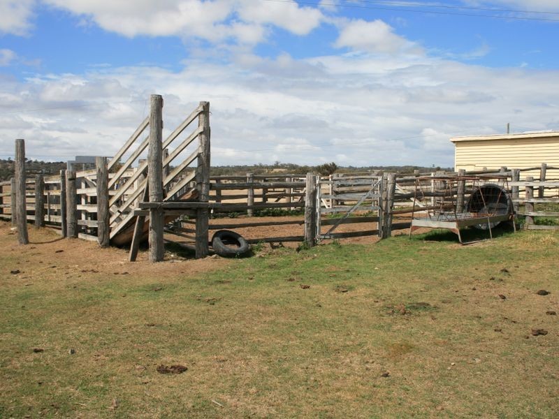 983 Crystal Mountain Road, Dalveen QLD 4374