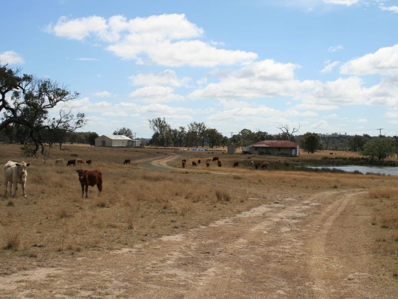 983 Crystal Mountain Road, Dalveen QLD 4374