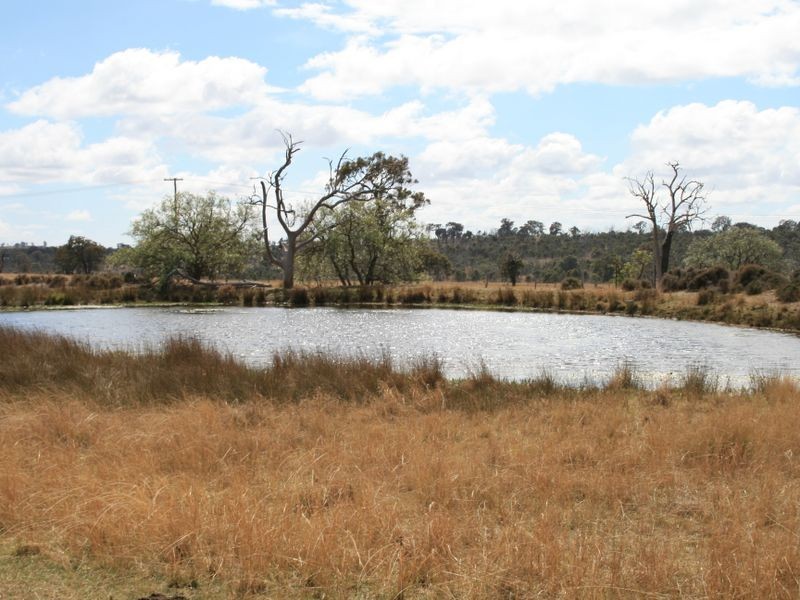 983 Crystal Mountain Road, Dalveen QLD 4374