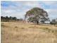 983 Crystal Mountain Road, Dalveen QLD 4374