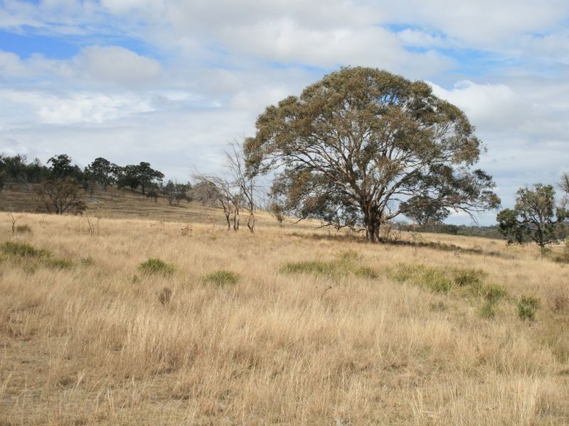983 Crystal Mountain Road, Dalveen QLD 4374