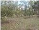 10473 Mt Lindsay Road,, Old Koreelah NSW 2476