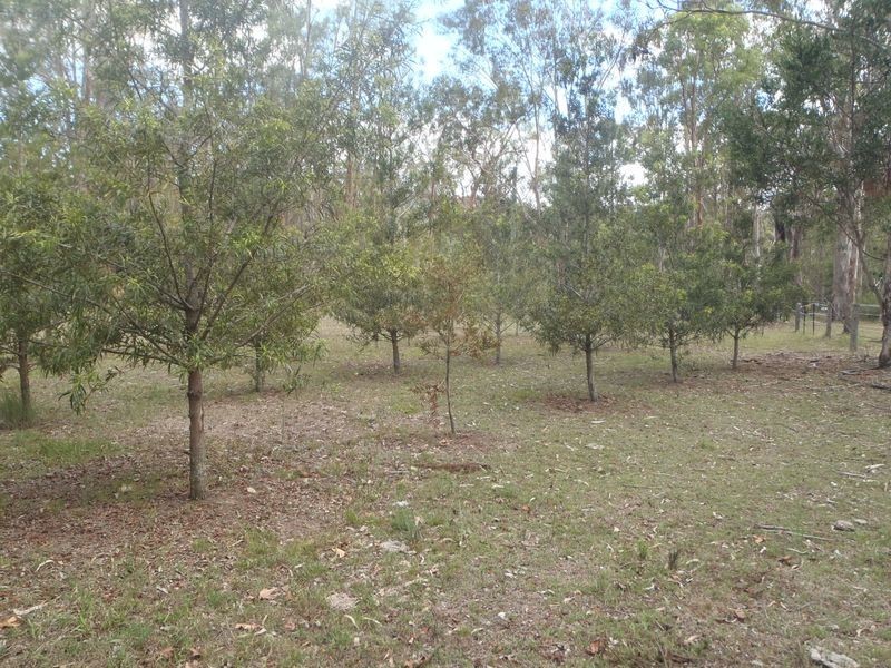 10473 Mt Lindsay Road,, Old Koreelah NSW 2476
