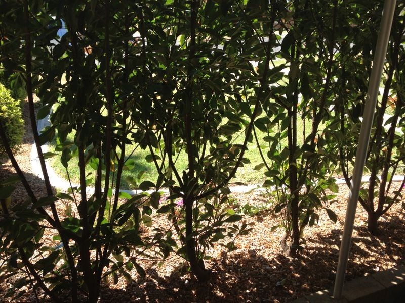 Unit 1 – 3 Stern Street,, Warwick QLD 4370