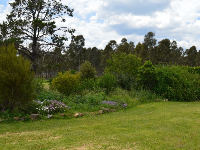 1115 Yangan Road, Swan Creek QLD 4370