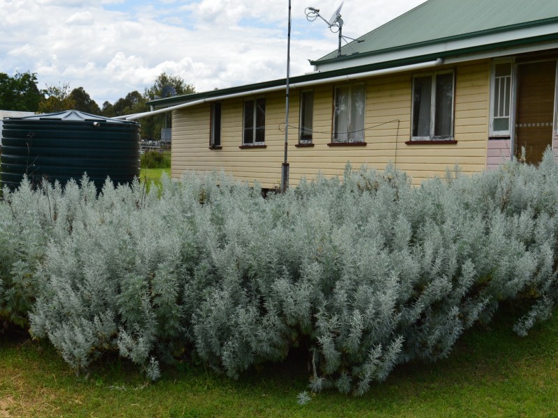 1115 Yangan Road, Swan Creek QLD 4370