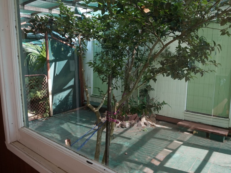 124 Locke Street, Warwick QLD 4370