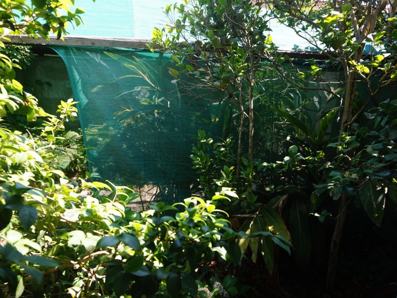 124 Locke Street, Warwick QLD 4370