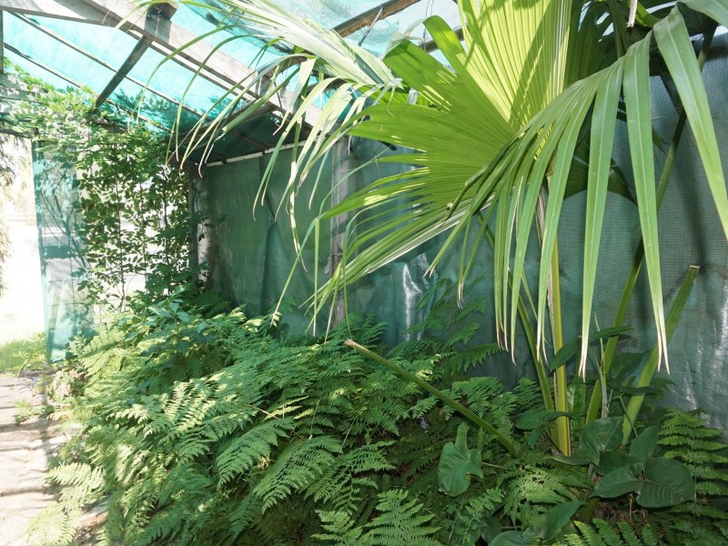 124 Locke Street, Warwick QLD 4370