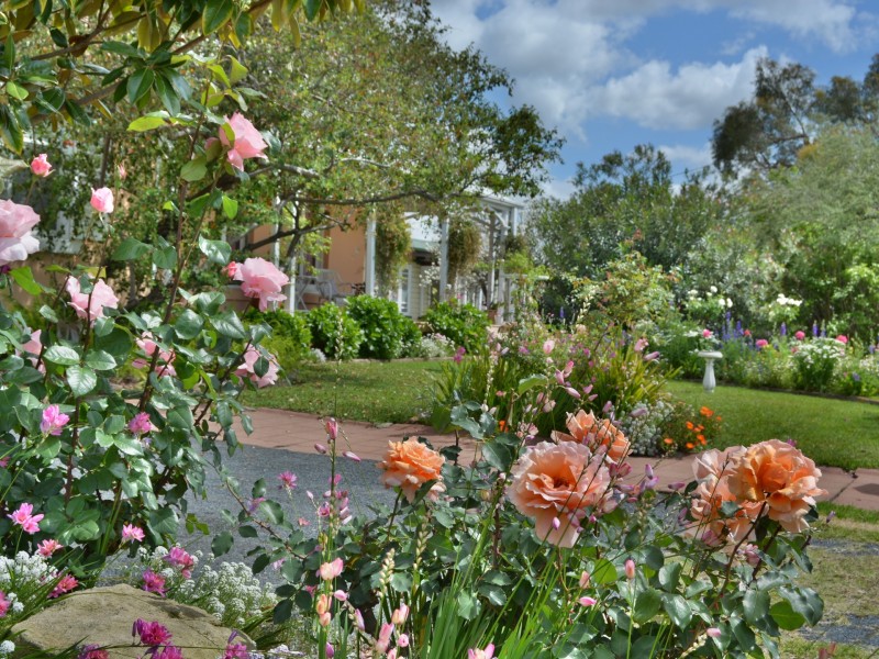 31 Guy Street, Warwick QLD 4370