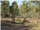49 Scrymgeour Rd (Lot 28 Morgan Park Rd), Warwick QLD 4370